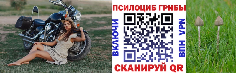 закладки  это как зайти  Галлюциногенные грибы MAGIC MUSHROOMS  Славянск-на-Кубани 