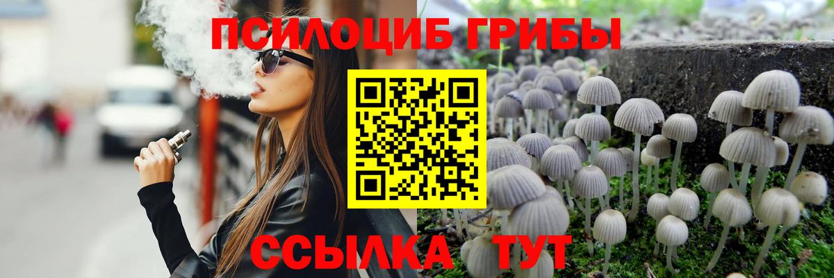 Псилоцибиновые грибы Psilocybine cubensis  Вход с VPN  Славянск-на-Кубани 